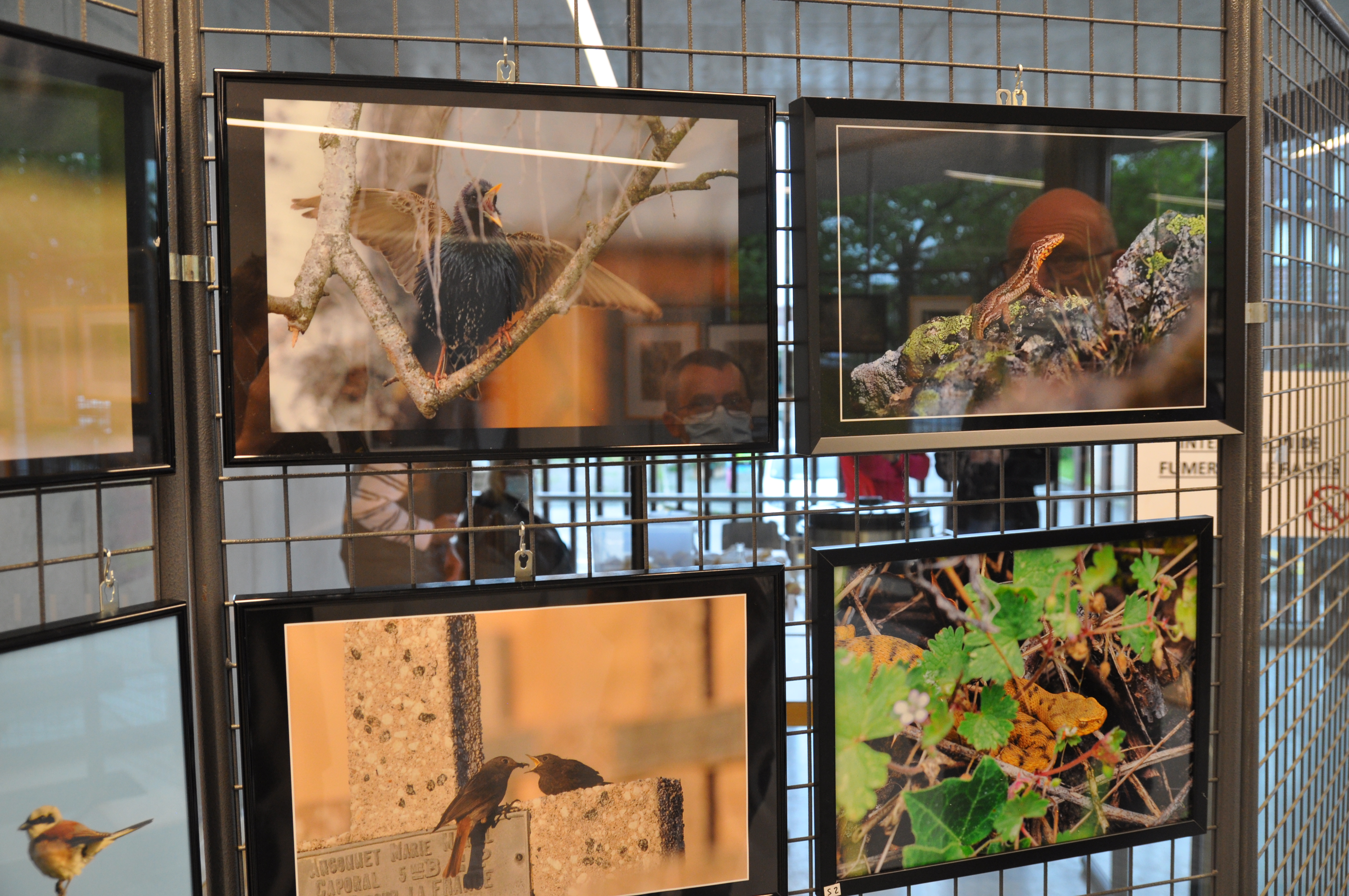 EXPO PHOTOS 1